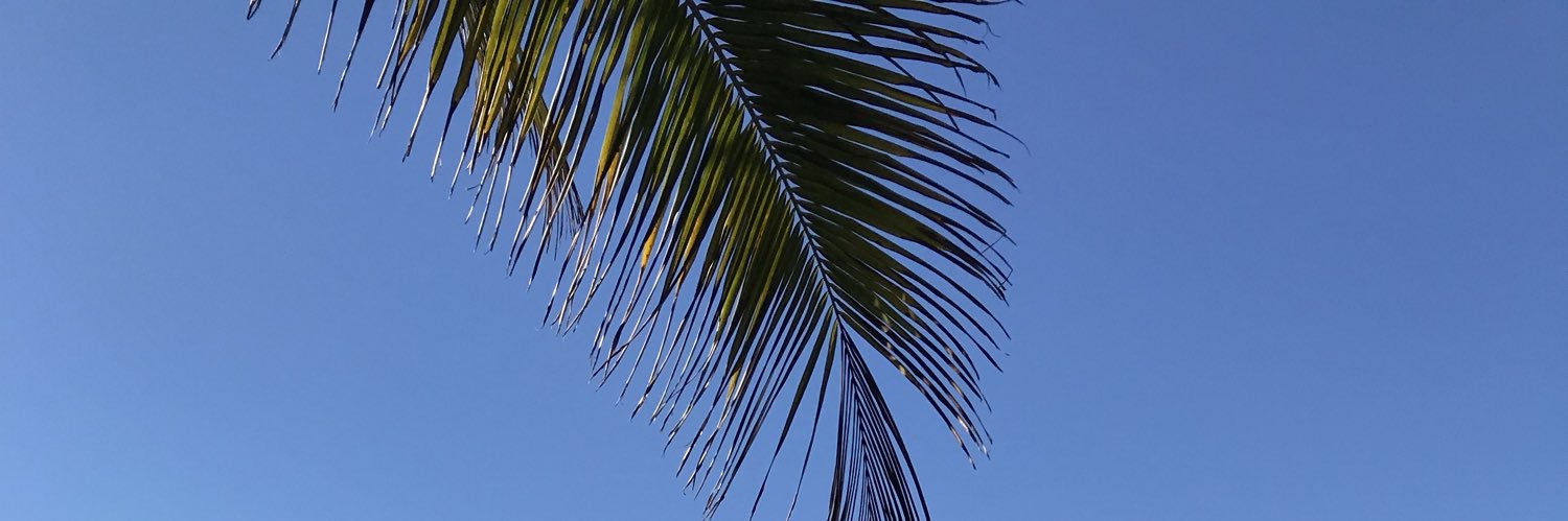 stevenson1973's profile banner image