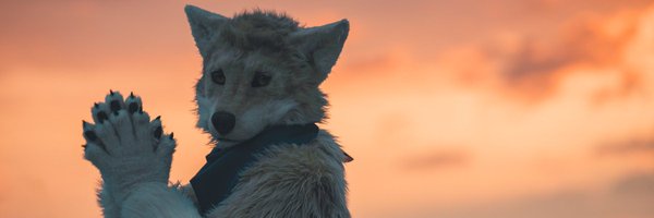 tktkRaining Profile Banner