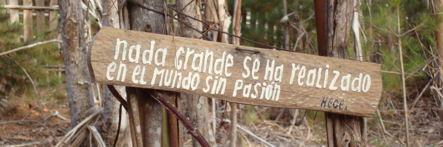 Natalia Castillo banner