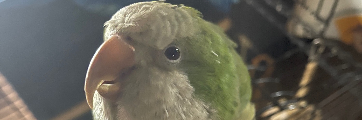 Monica95GP's profile banner image