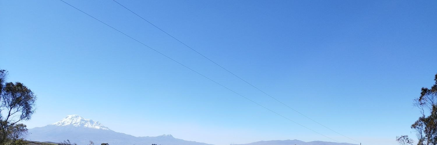 Dante banner