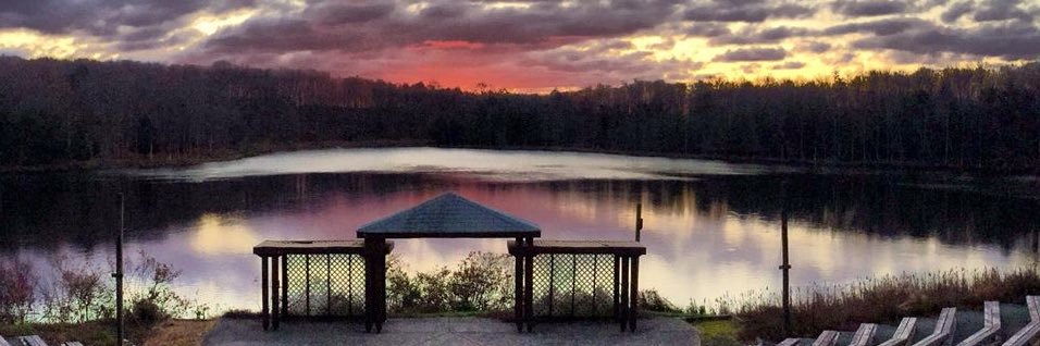 Daniel Livingston banner