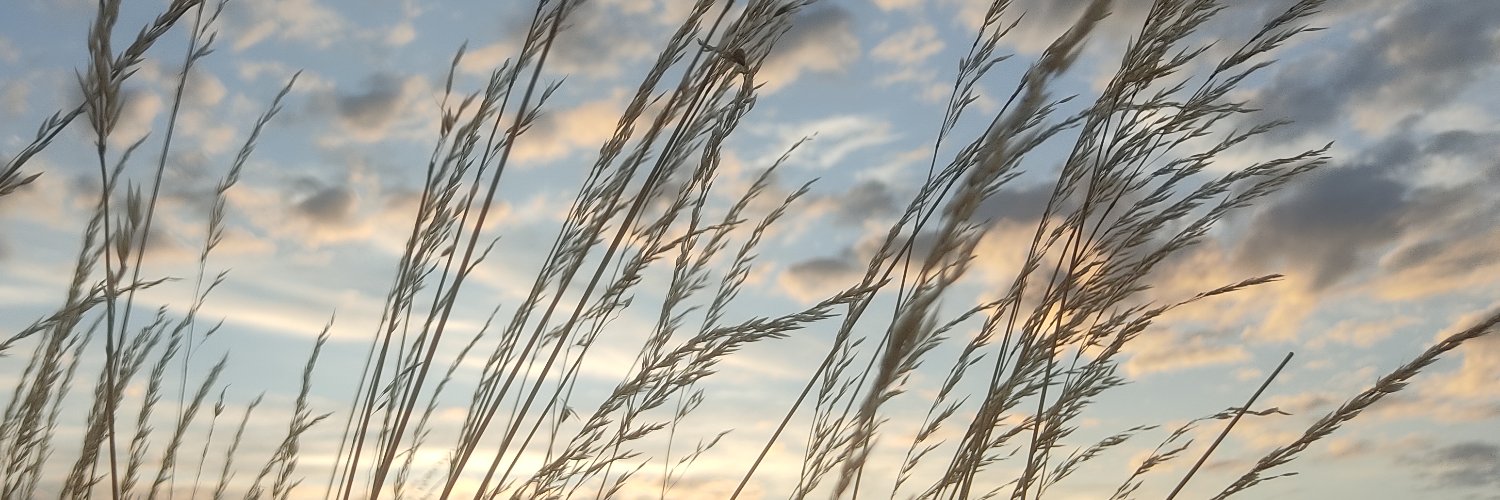 Evinta_'s profile banner image