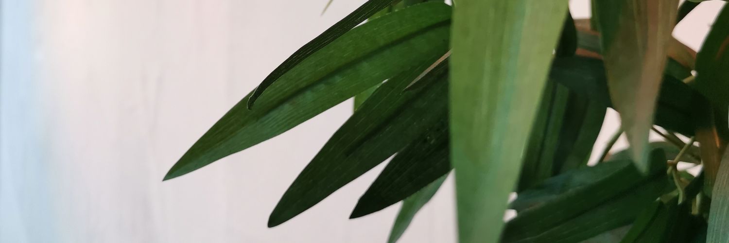 ahamuseum's profile banner image