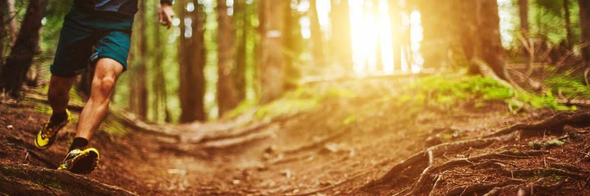 vrapoj's profile banner image
