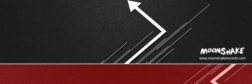 Moonshakerecord's profile banner image