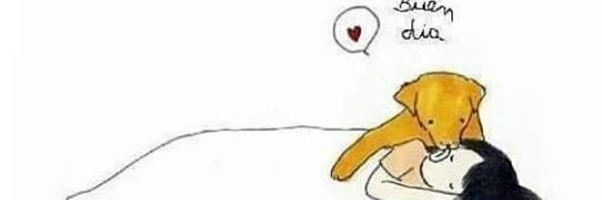 VaniiPardo's profile banner image