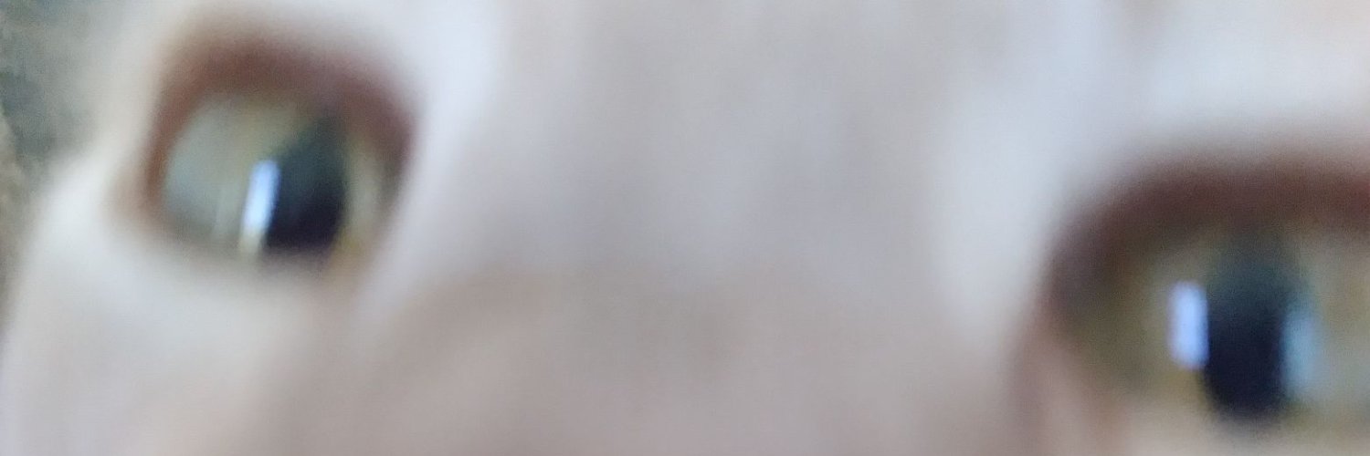 FuneerDev's profile banner image