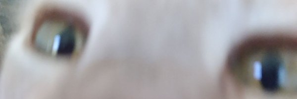 FuneerDev Profile Banner