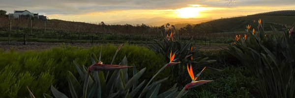 MarcMabelis Profile Banner