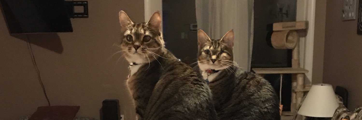 aault2's profile banner image