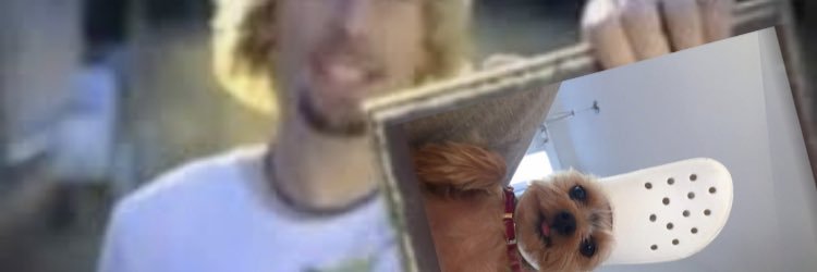 DogsCrocs's profile banner image