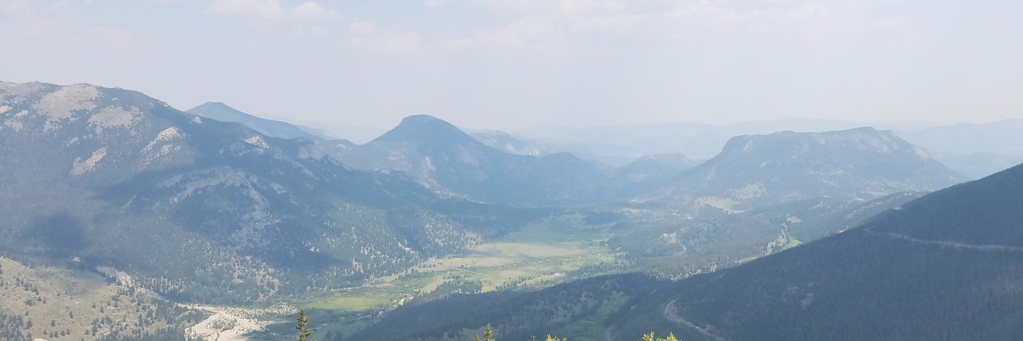 Chantel Columna banner