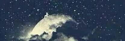 1988 📊📈 banner