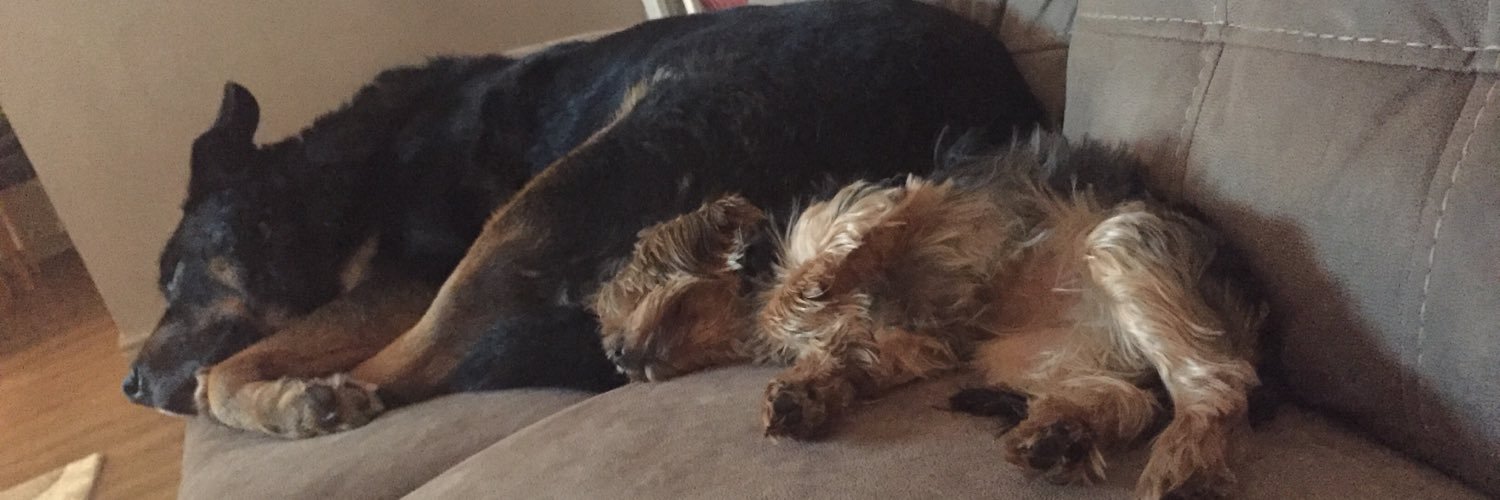 stacey farrow banner