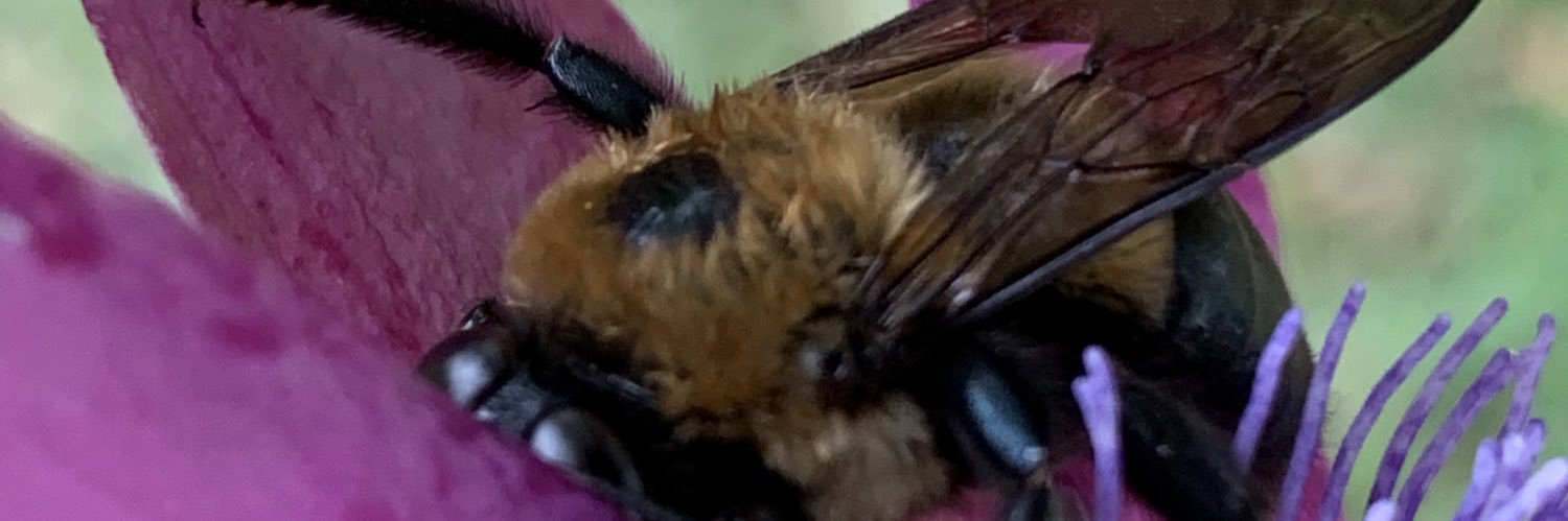 ScienceandMathT's profile banner image