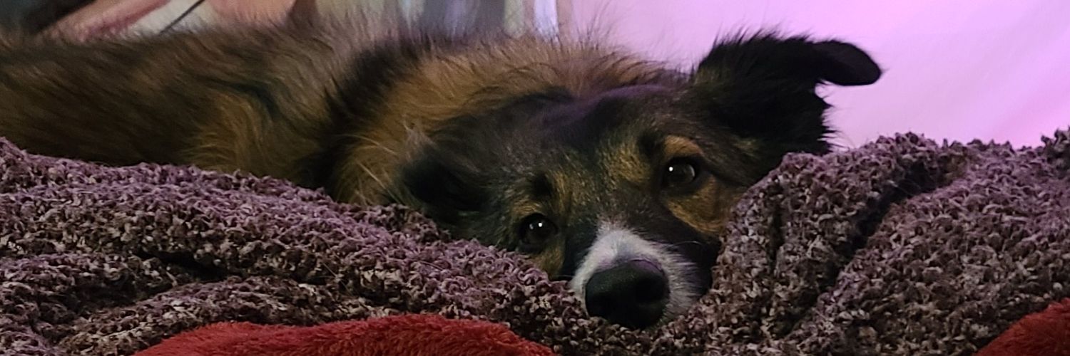 MerrrisCoo's profile banner image