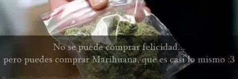 alaniz_bryan's profile banner image
