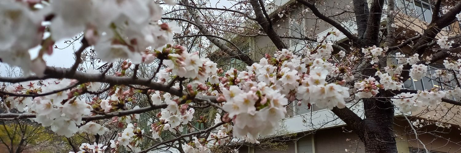 Yuita_A_S's profile banner image