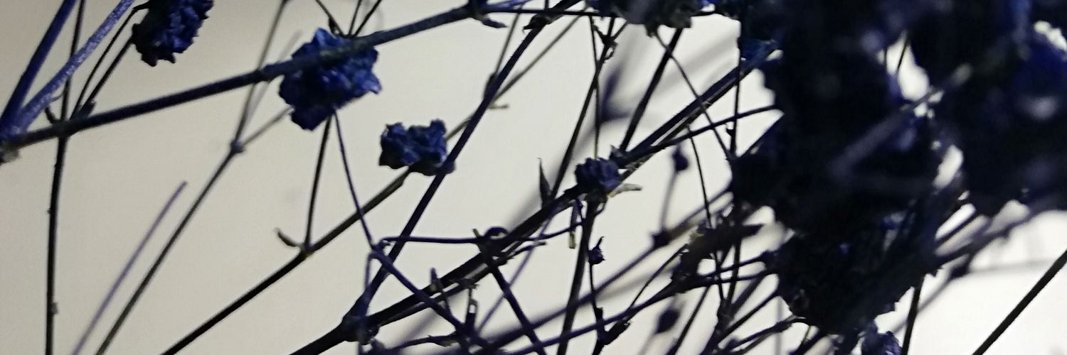 arar1983's profile banner image