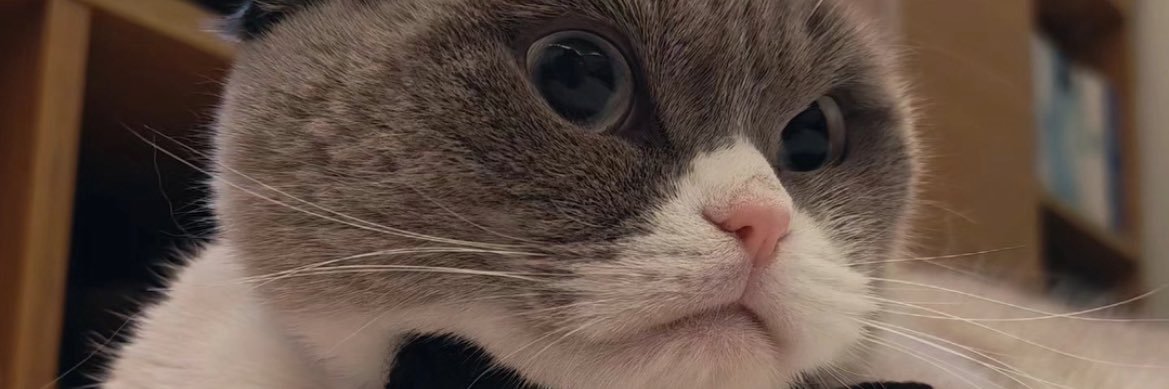 ayperit's profile banner image