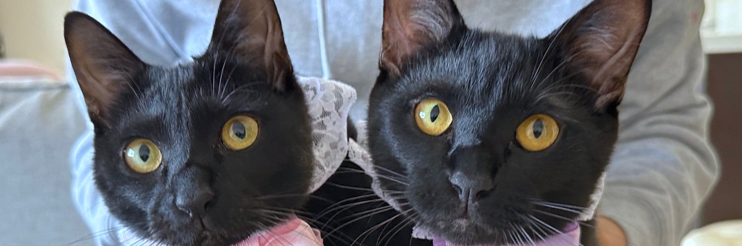 ウチュウジンゆきちゃん👽 banner