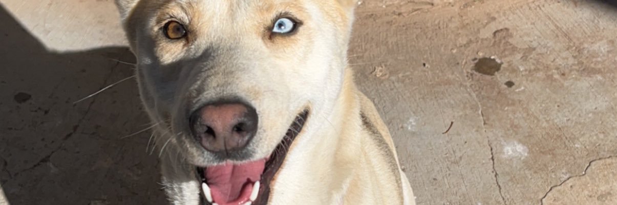 supermoree's profile banner image