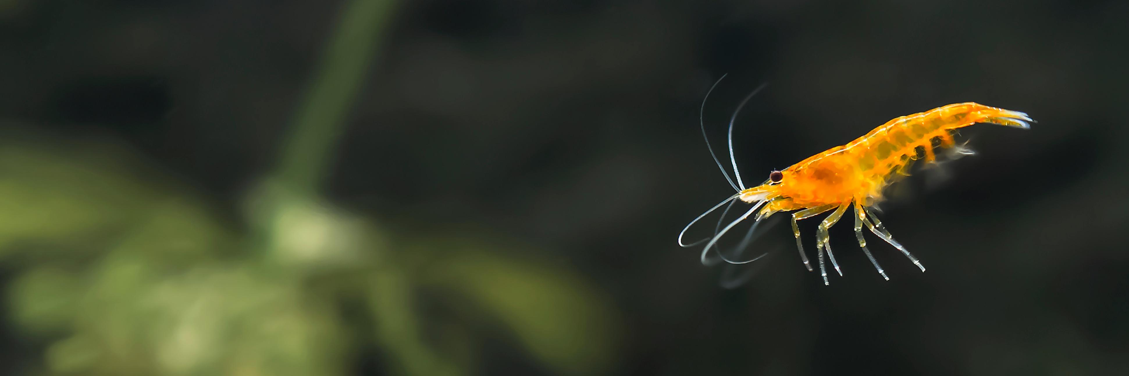 StudioSkwit's profile banner image