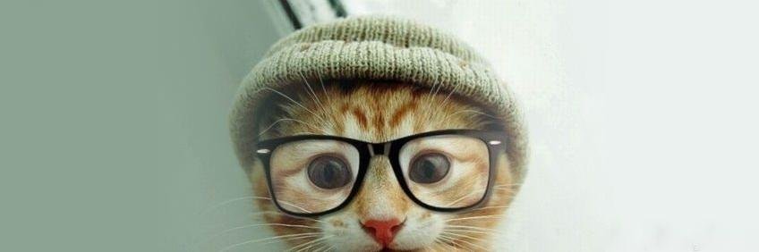 Christopher Hamilton 🇪🇺 banner