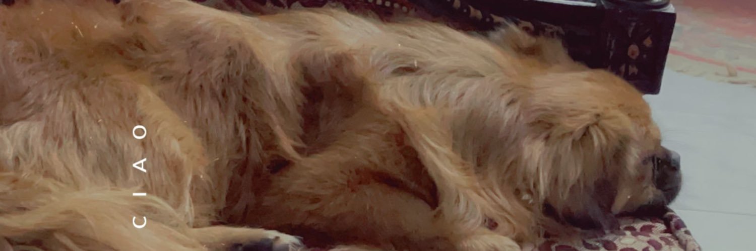 Nahla275's profile banner image