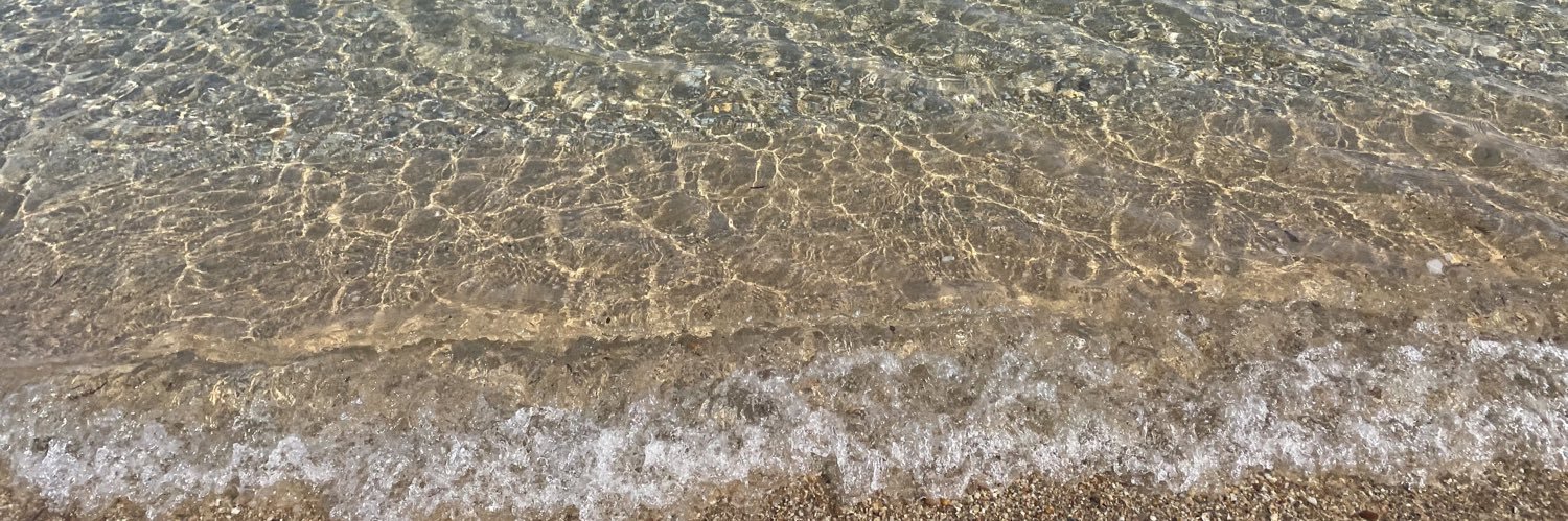 Dr Sandra Murray banner