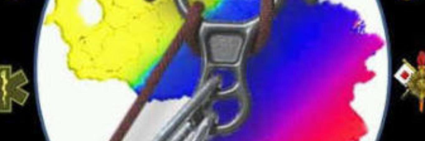 Ronnieanzola banner