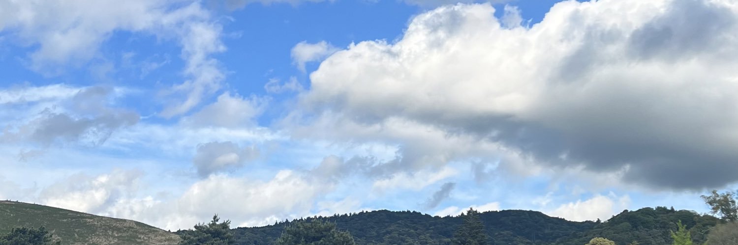 MMDW2022's profile banner image