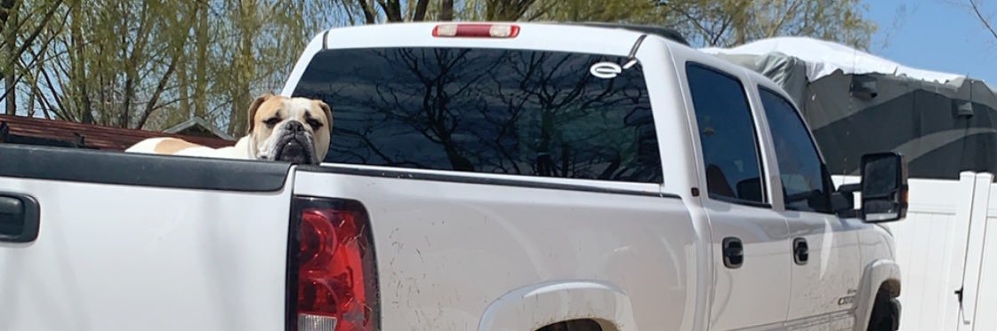Austin_Stevens3's profile banner image