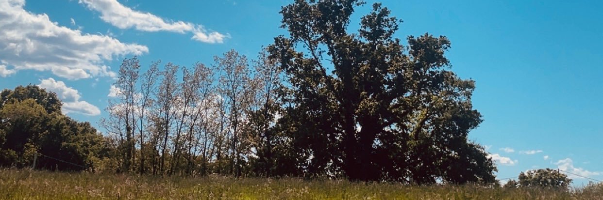 jason64100's profile banner image