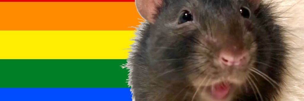 TheKallieChris's profile banner image