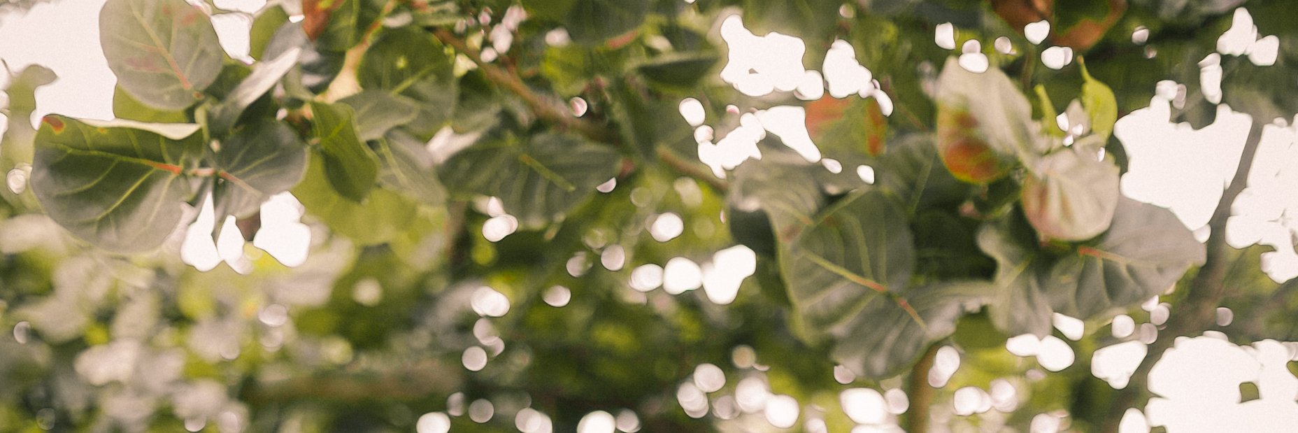 findlayhouse's profile banner image