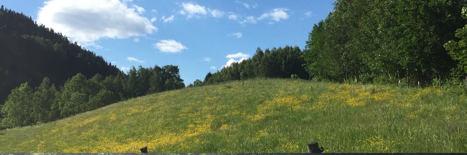 chrkols's profile banner image
