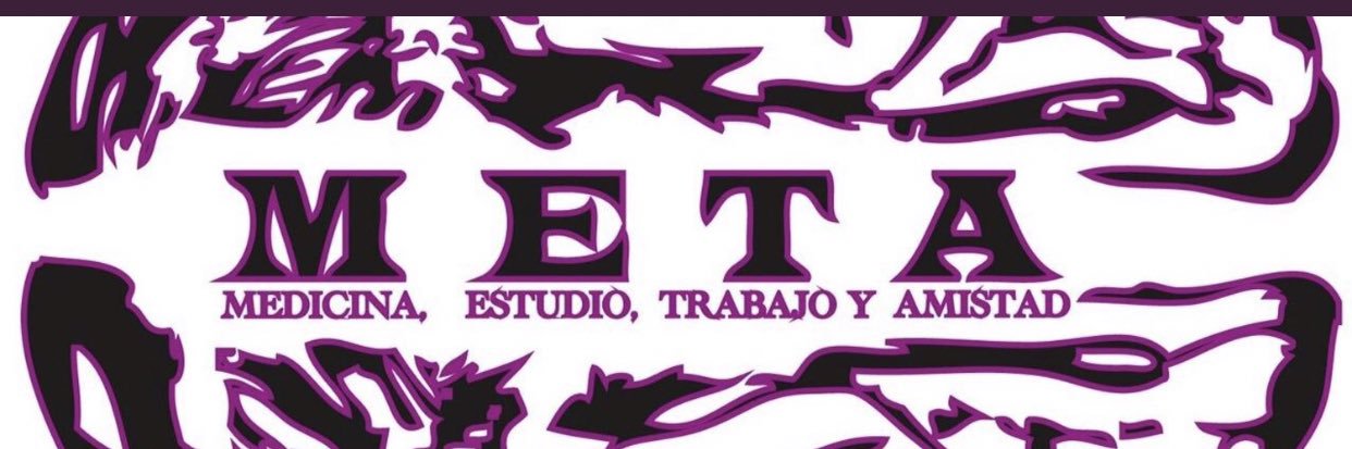 metamedoficial's profile banner image