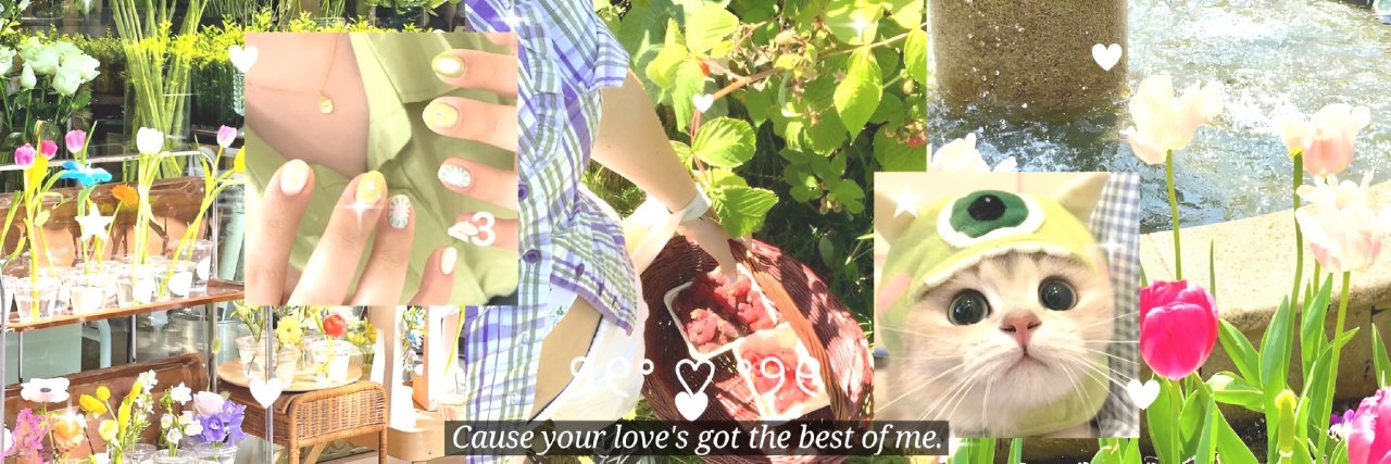 ᐢ..ᐢ ࣪˖ banner