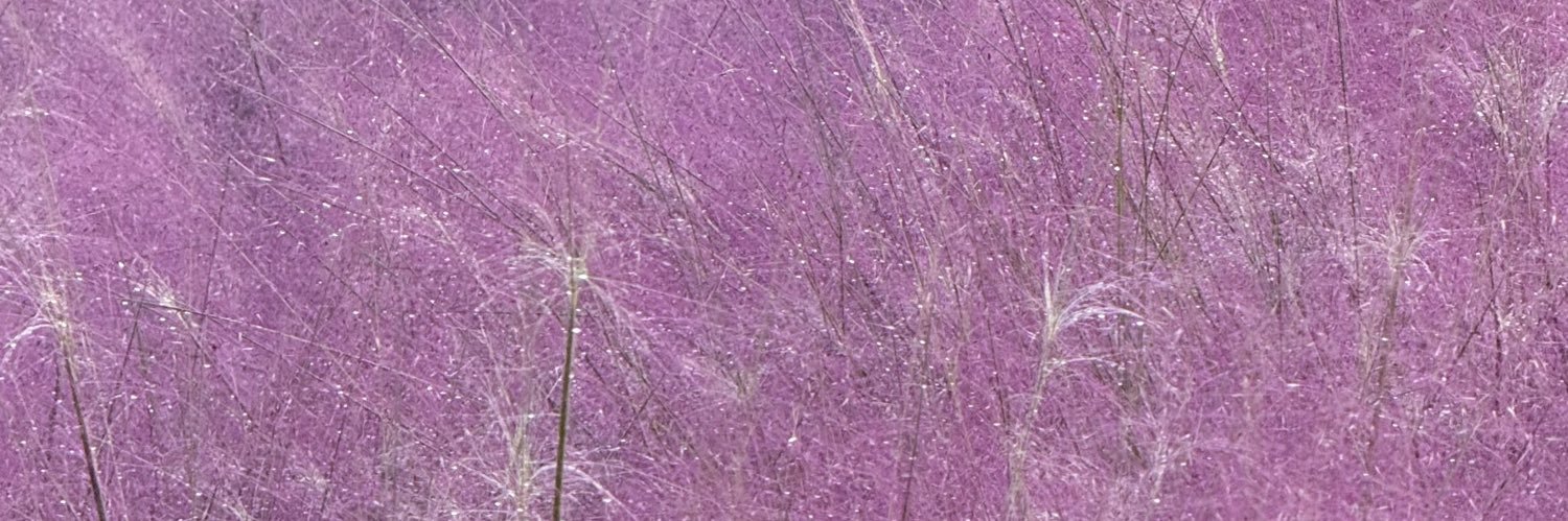 KIARA banner