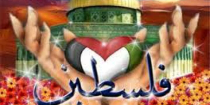 Entisar_rabea's profile banner image