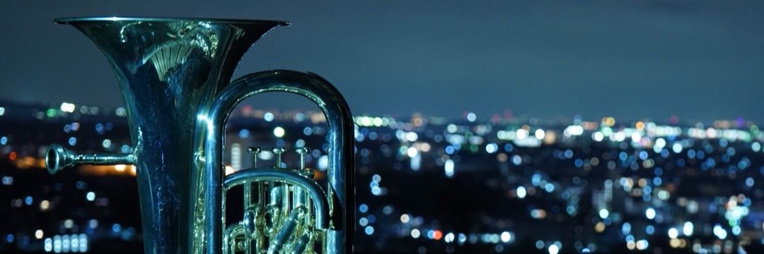 かめアリ⛏️🐢🧀 banner