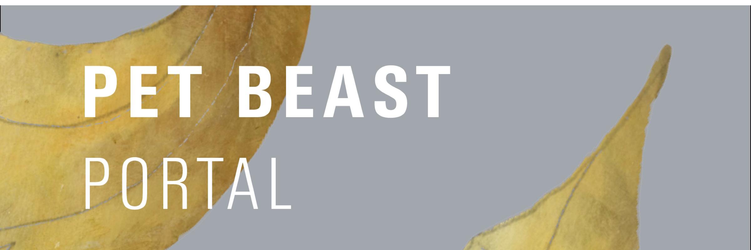 Pet Beast banner