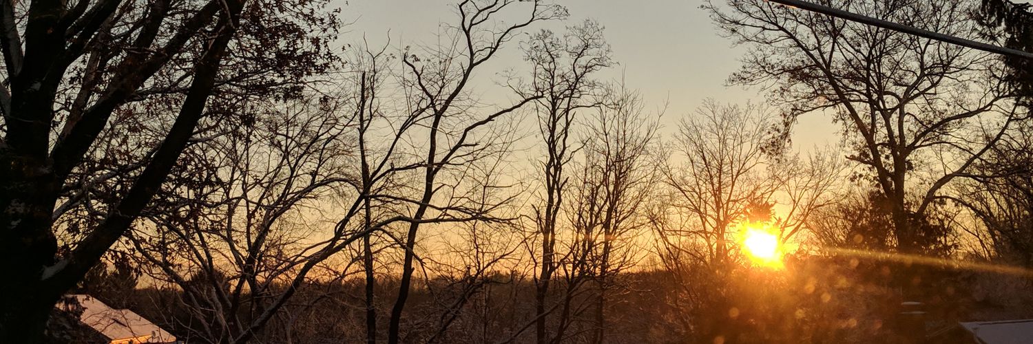 leopchica's profile banner image
