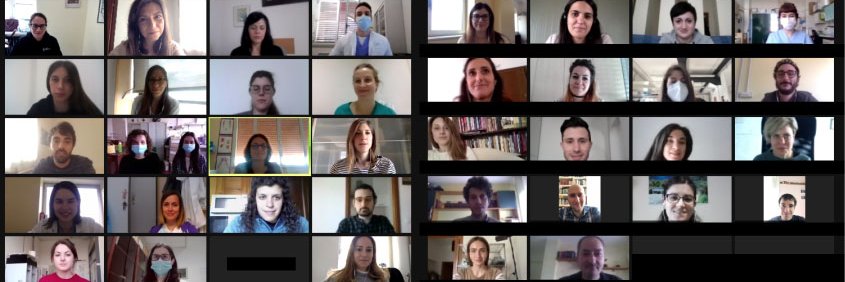 PhD School in Clinical and Experimental Medicine banner