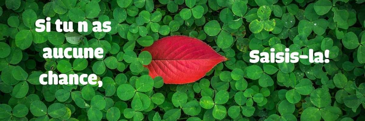 LEFEUVRE Stéphanie banner