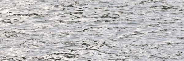 rplplkh Profile Banner