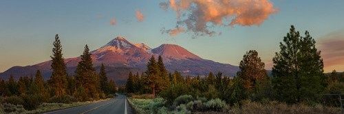 thelalli's profile banner image