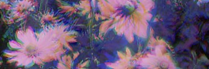 katie_c26's profile banner image